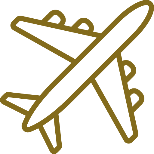 airplane icon
