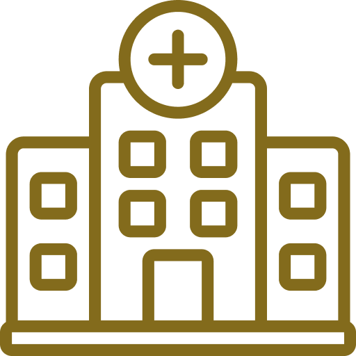 hospital icon